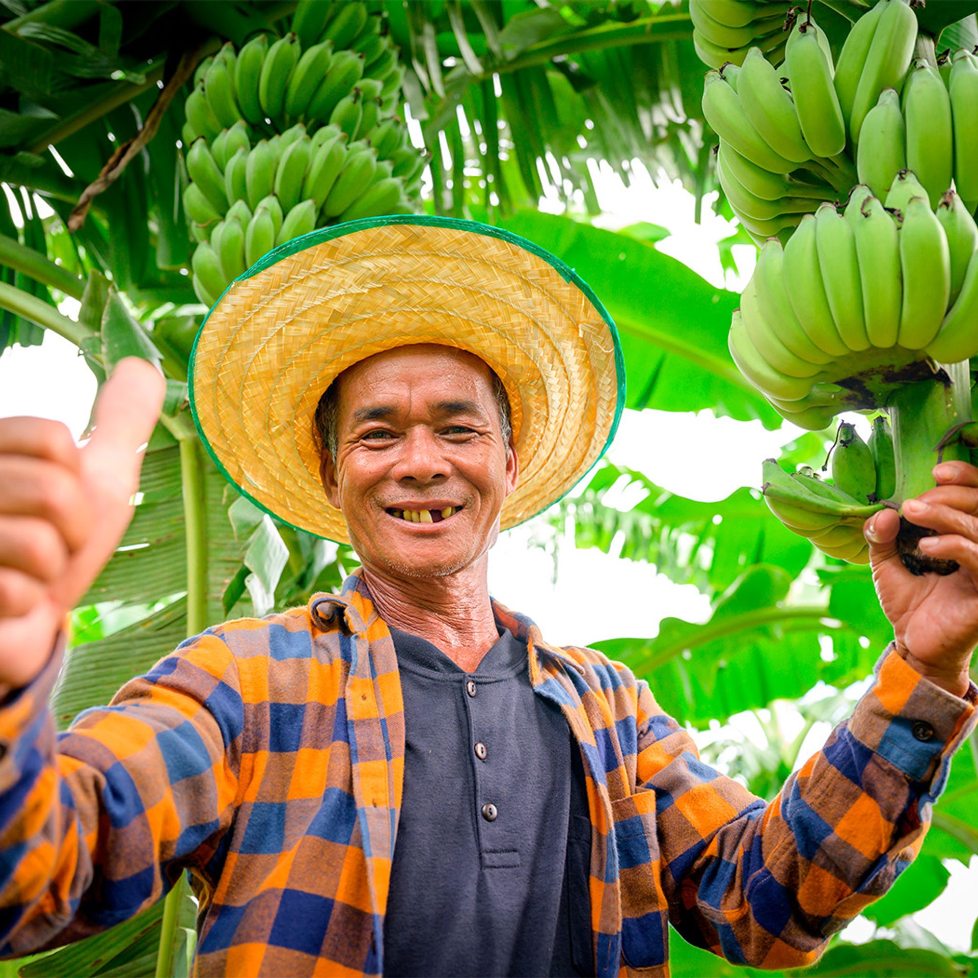 Image of a banana producer displaying produce