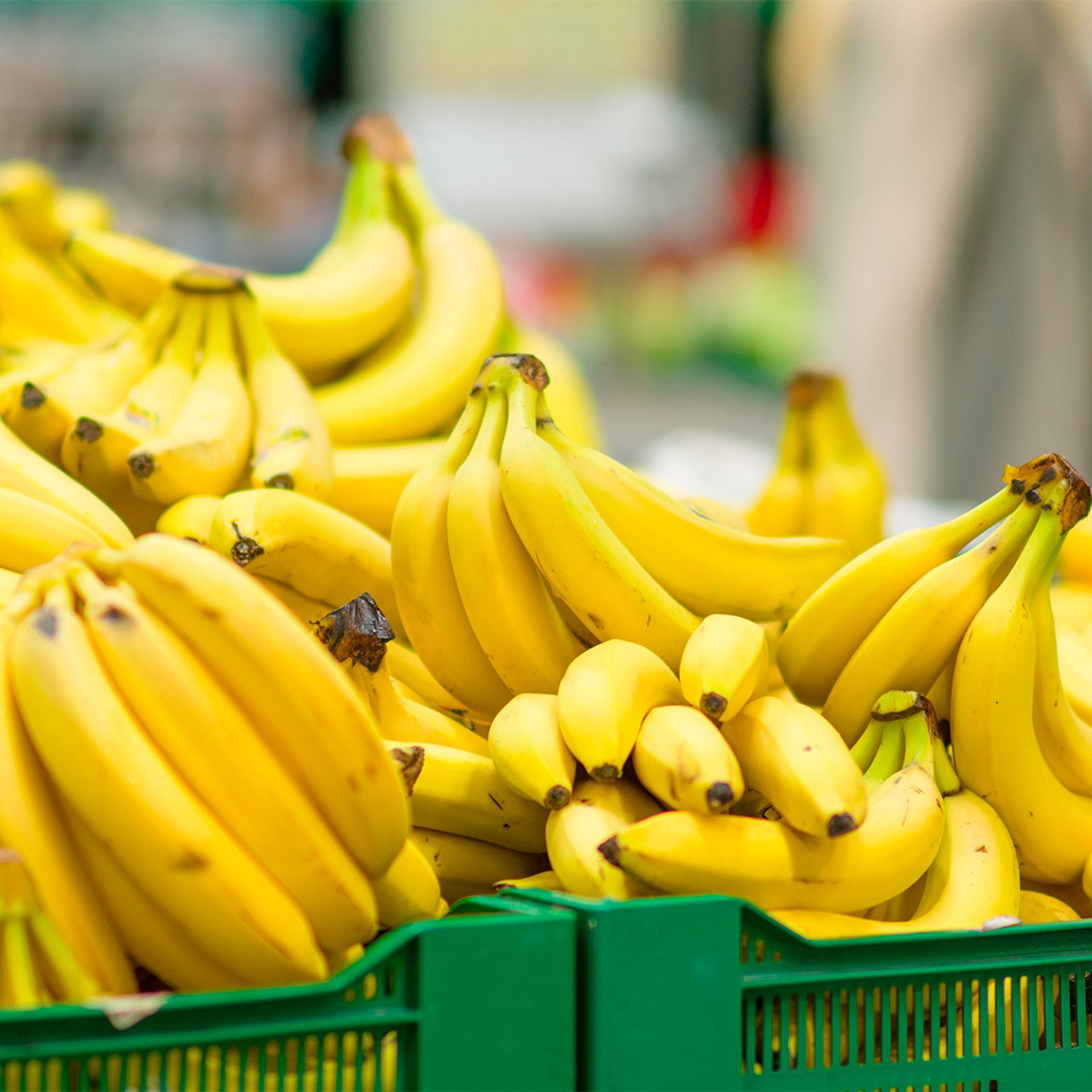 Image of bananas in a retail store