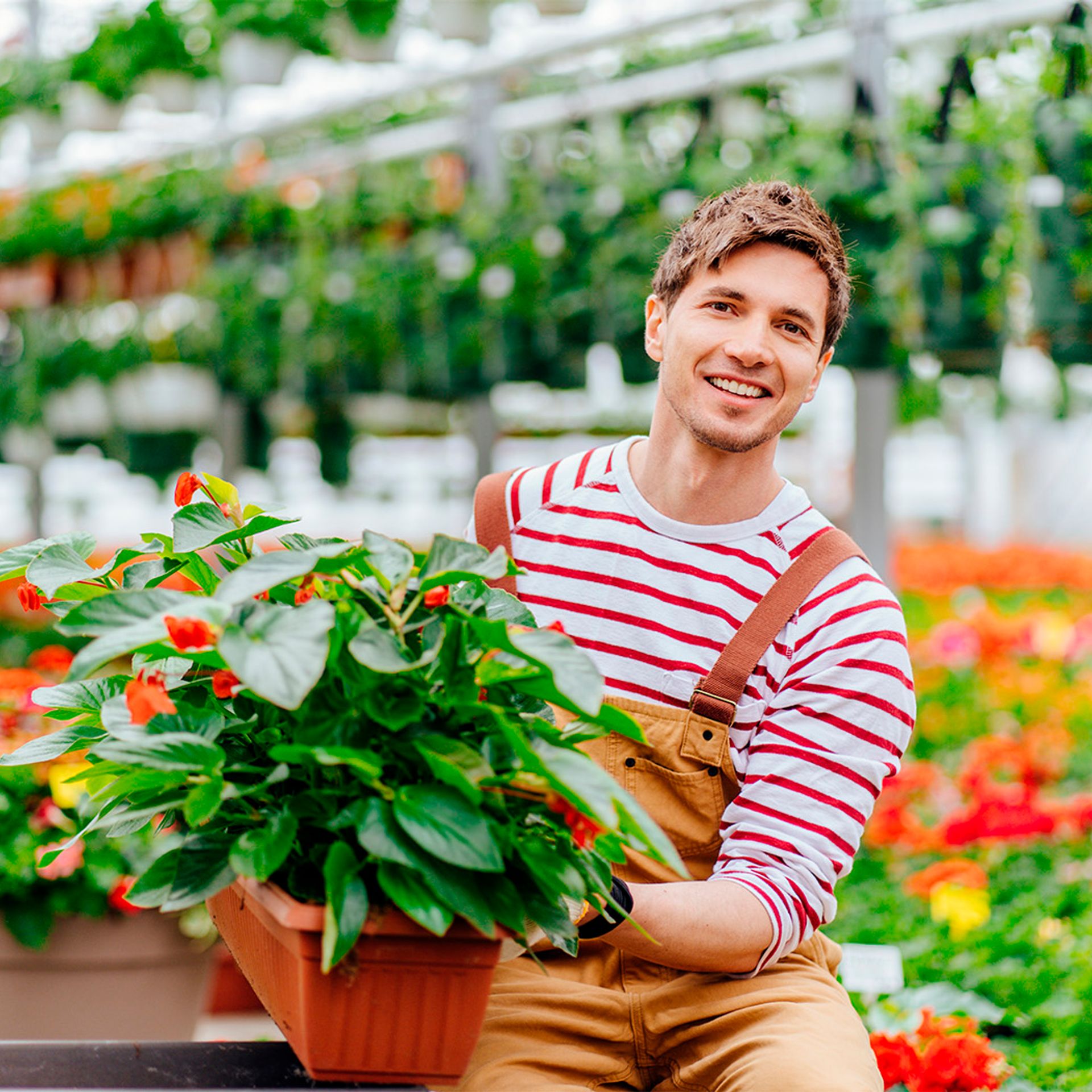 Image of a worker in a greenhouse displaying potted flowers