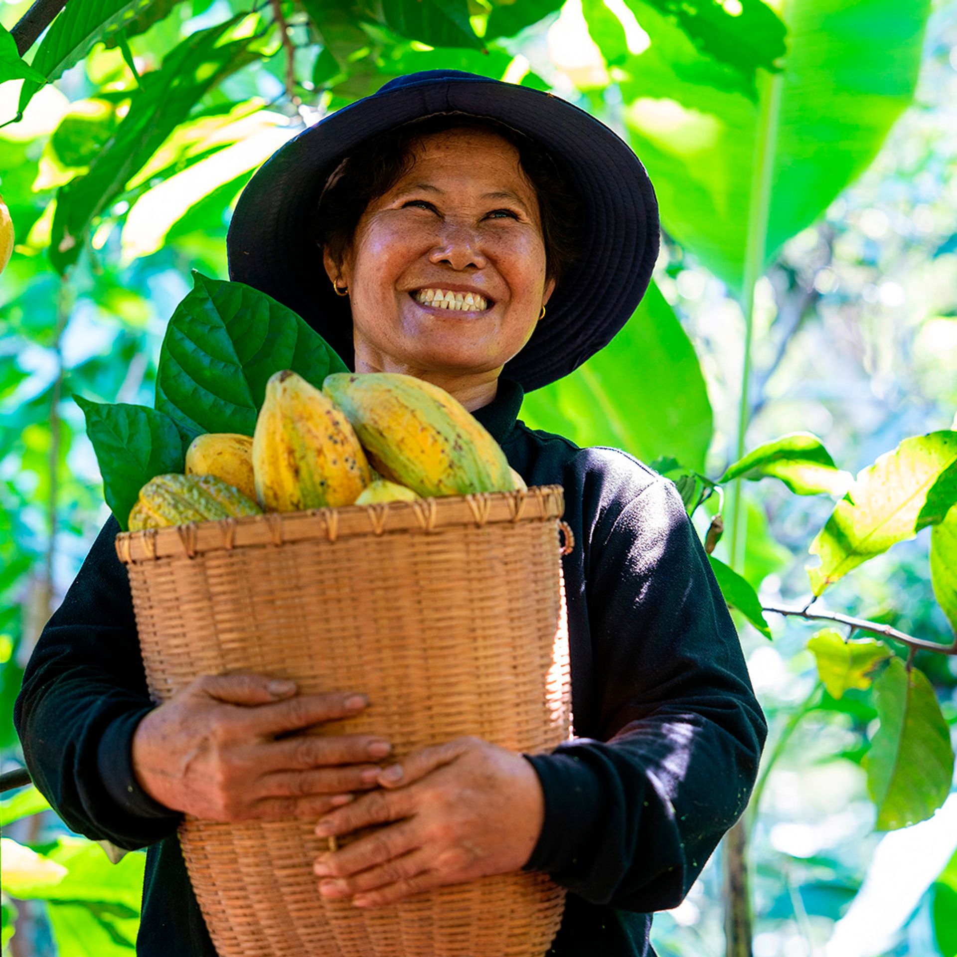 Image of a producer harvesting fruit