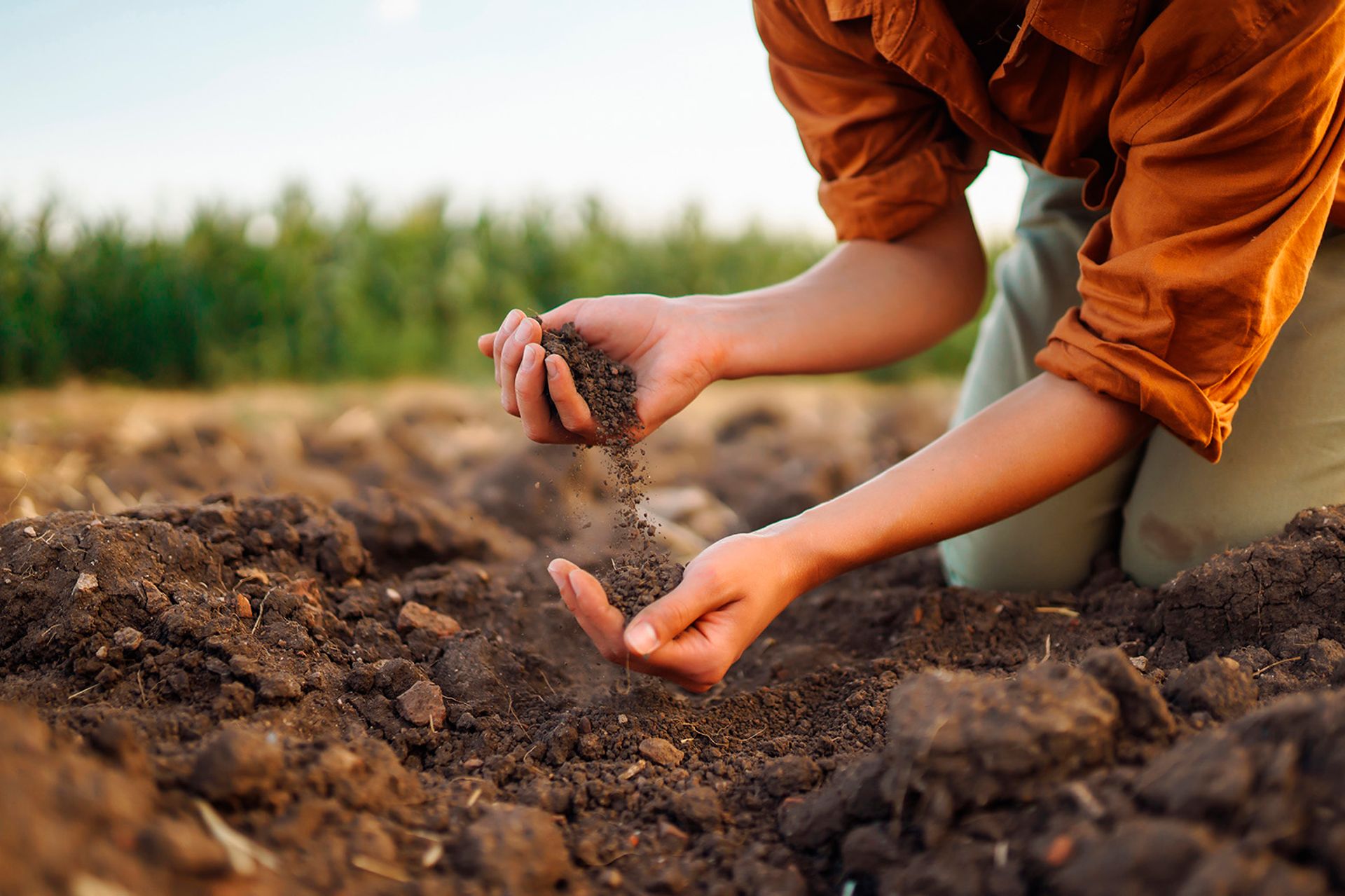 Image of a technical expert checking farm soil health before planting