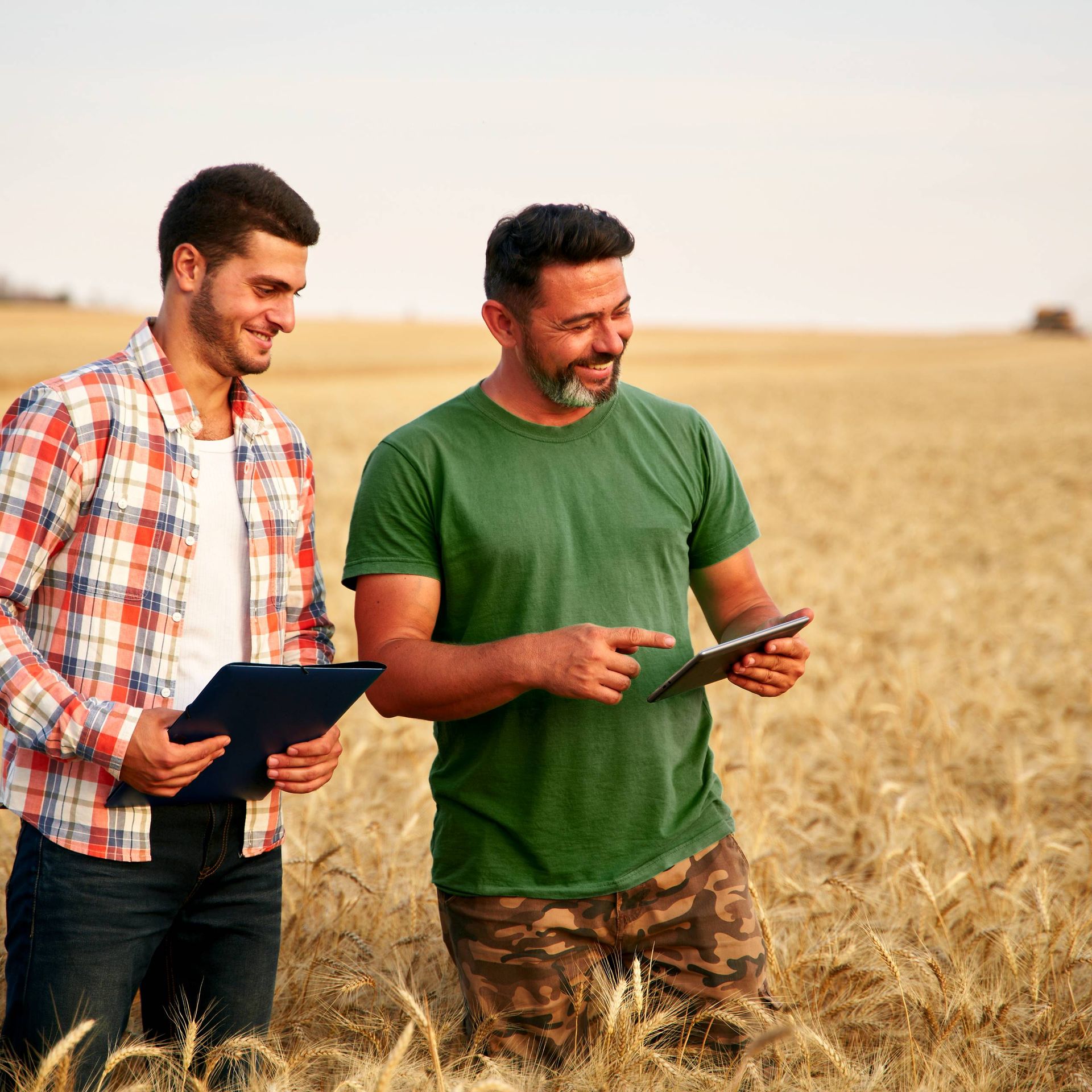 Image of a certification body auditors in a wheat field checking implementation