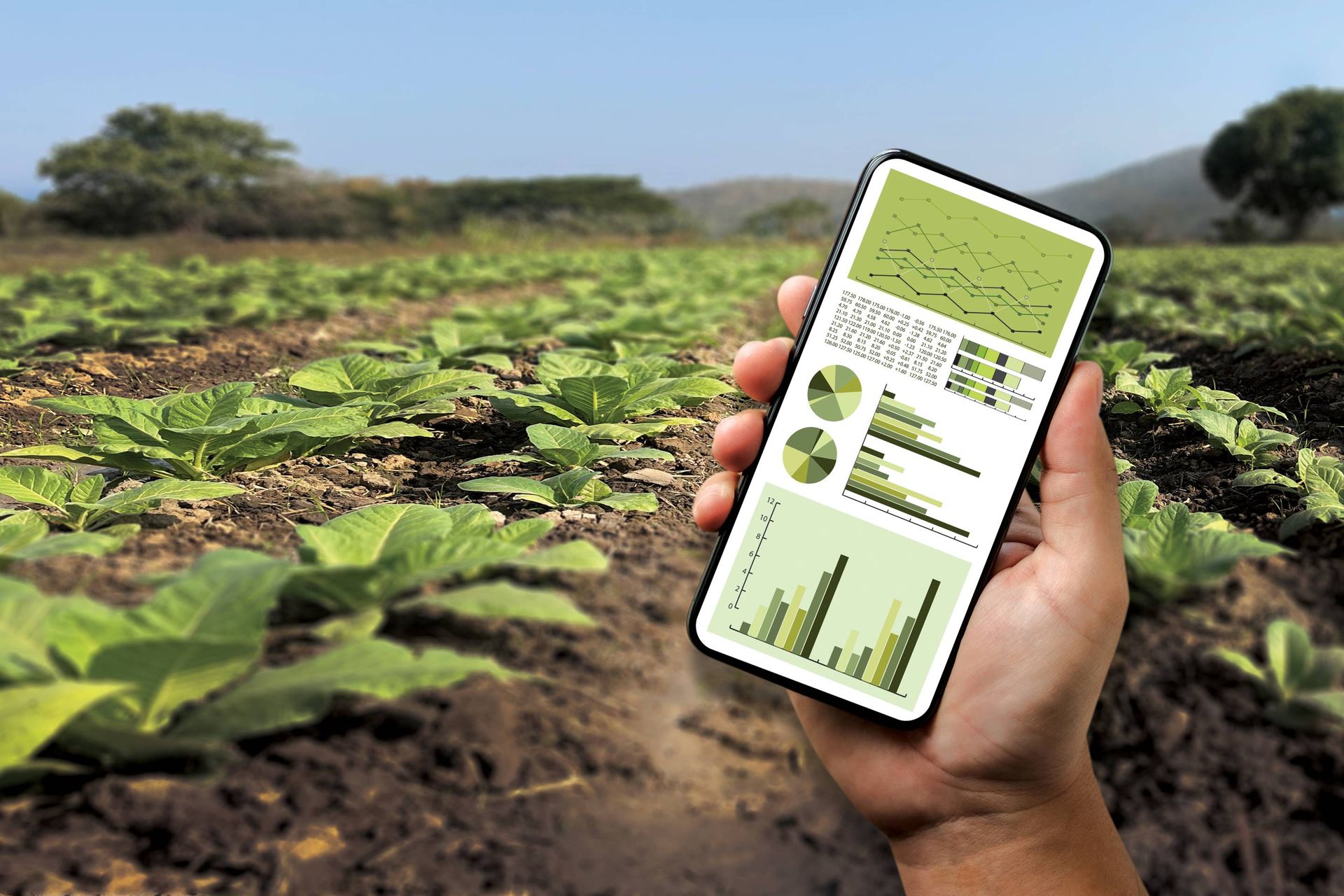 Image of a producer generating a report on farm environmental data