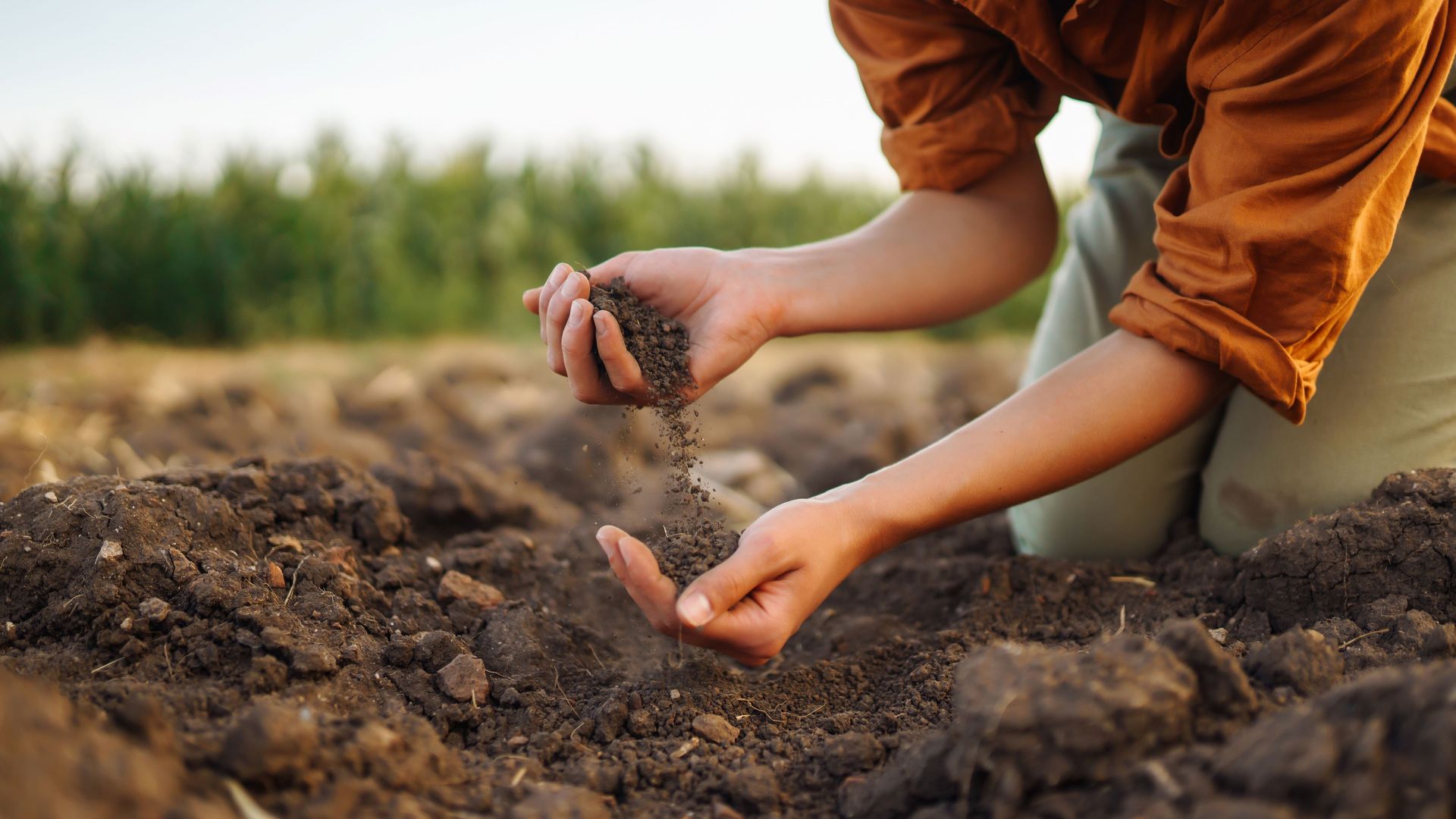 Image of a producer checking soil health and quality in a field 