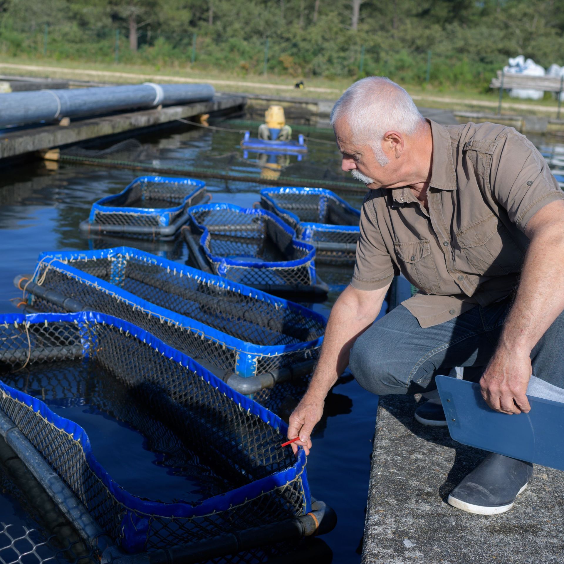 Image of a certification body auditor inspecting the nets at a fish farm