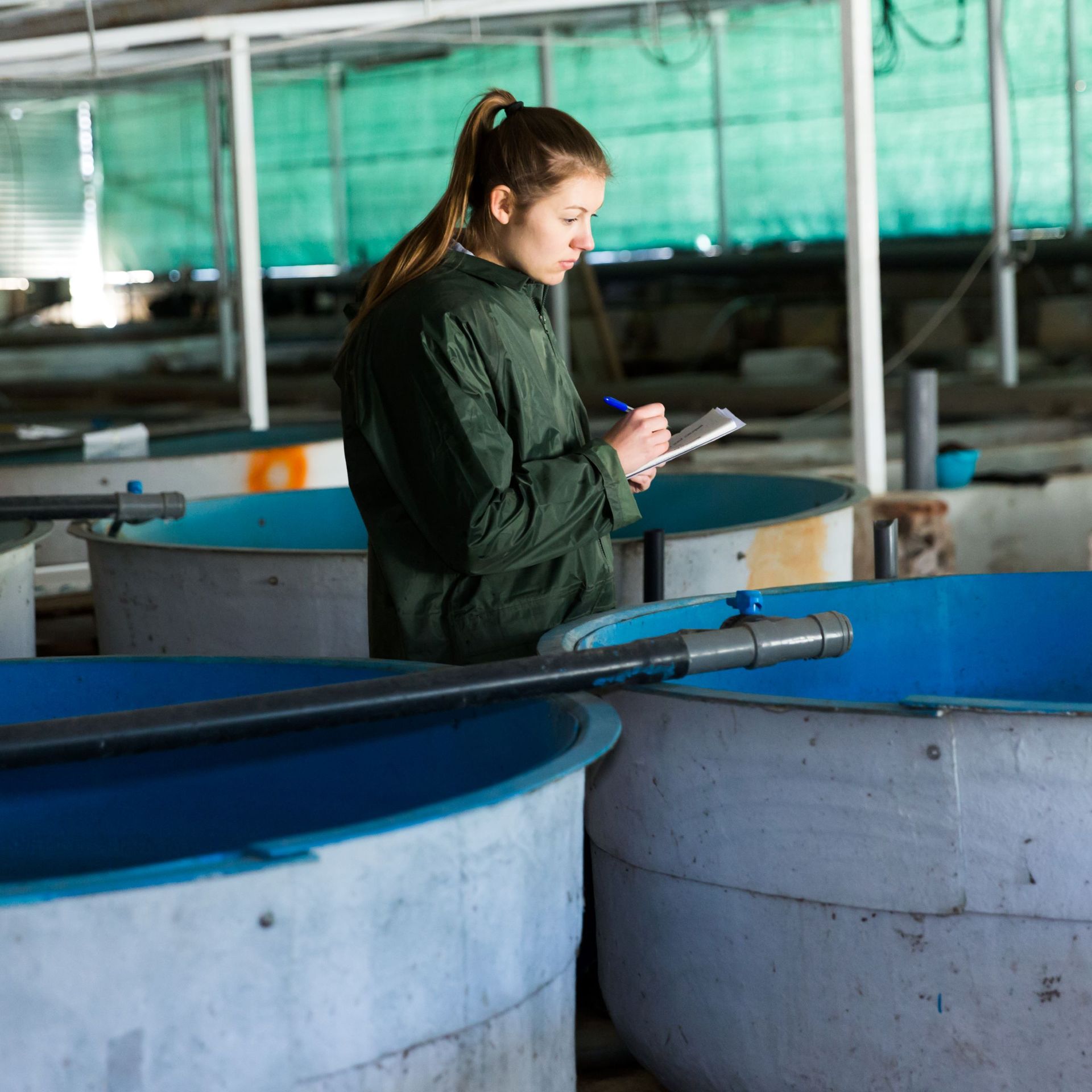 Image of an aquaculture producer conducting a self-assessment