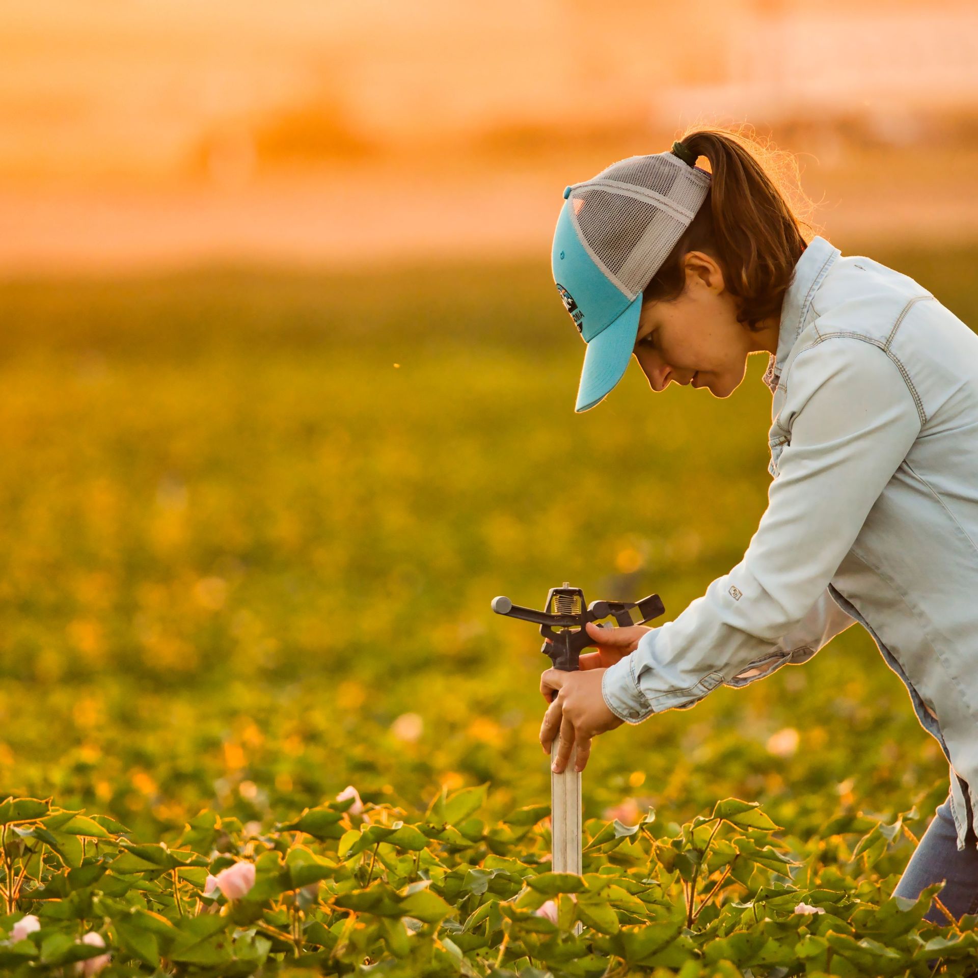 Image of a farmer maintaining an irrigation system in a field