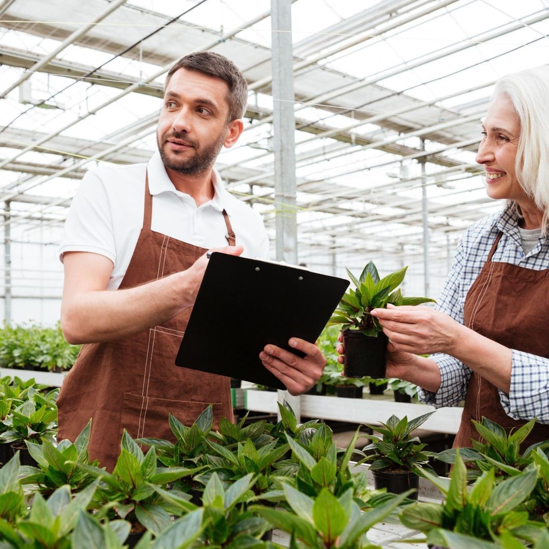 Image of two producers inspecting potted plants on a covered floriculture farm