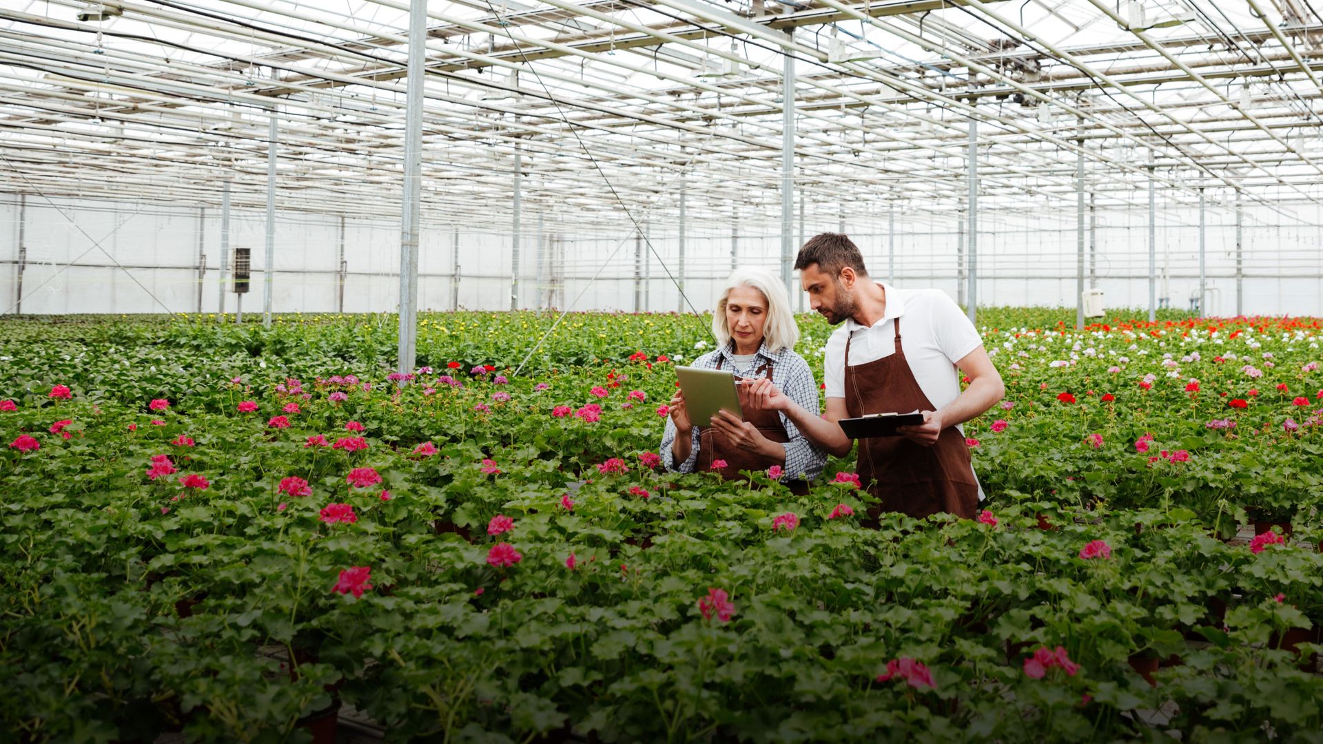 Image of two farm workers conducting a self-assessment in a floriculture greenhouse