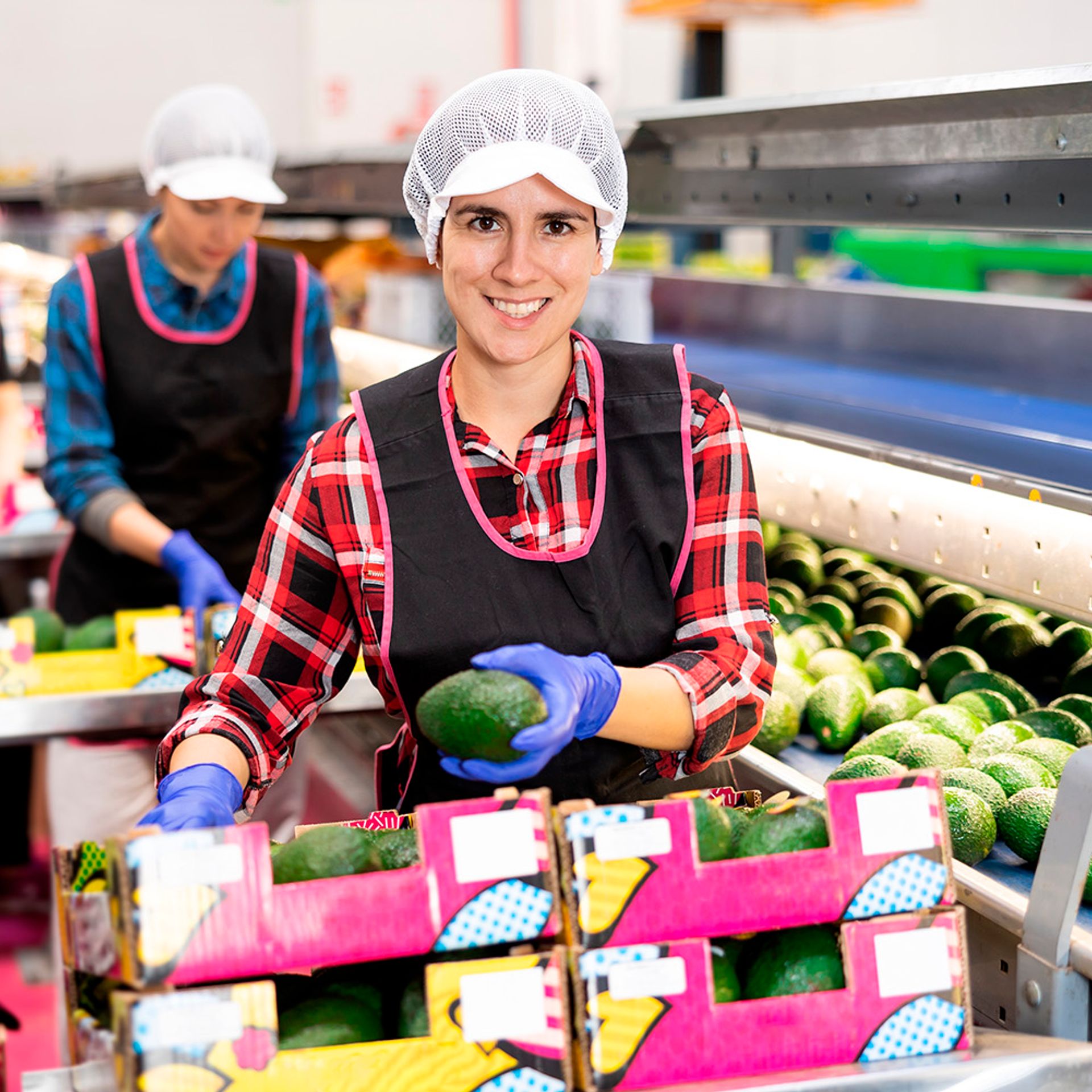 Image of a fresh produce processor packing fruit and vegetables for transport
