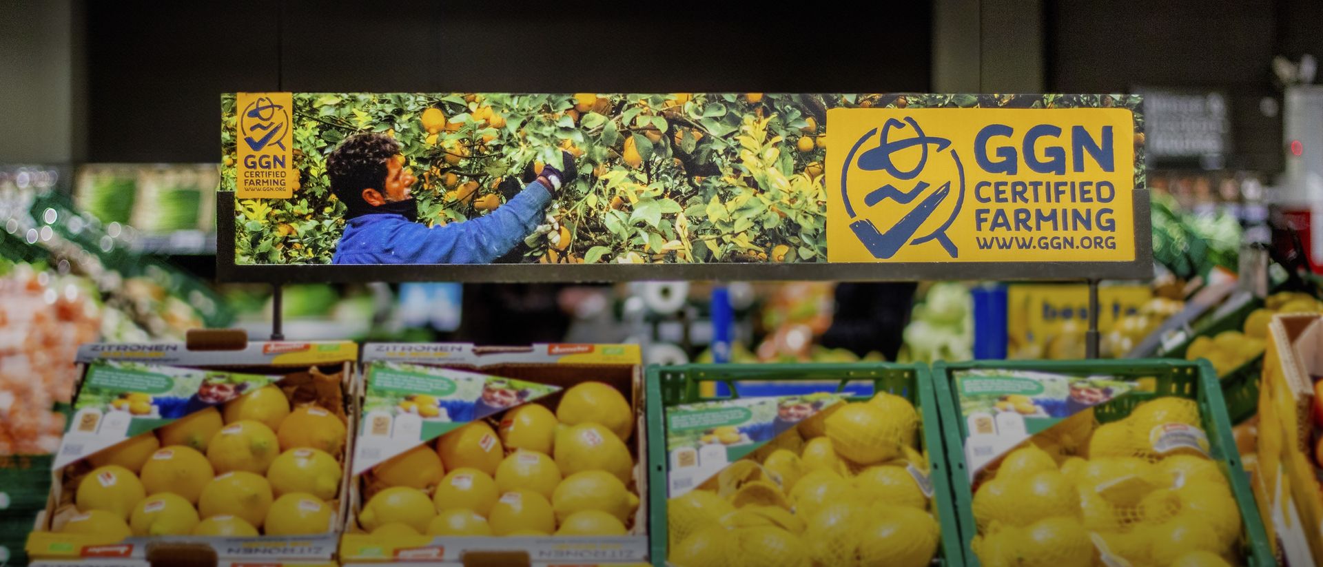 Image of a stand displaying lemons with the GGN label at a GLOBUS store in Germany