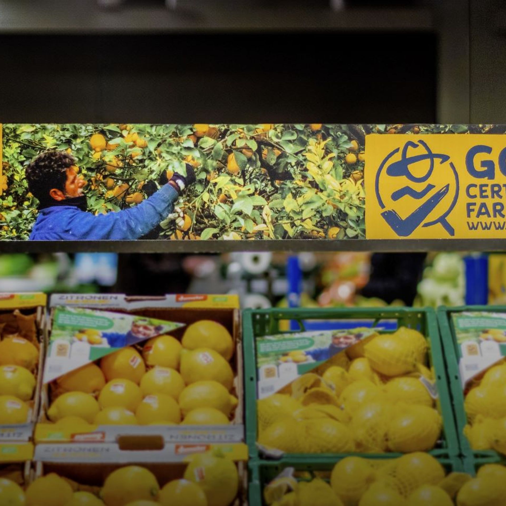 Image of fruit with the GGN label on a display stand in the retailer Globus in Germany