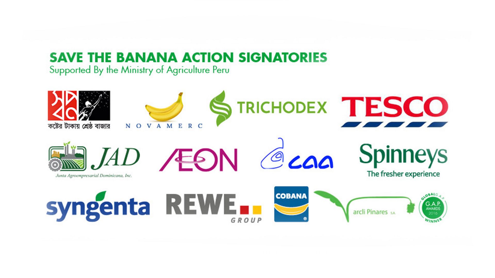 Infographic showing the signatories of the 2018 Save the Banana action plan