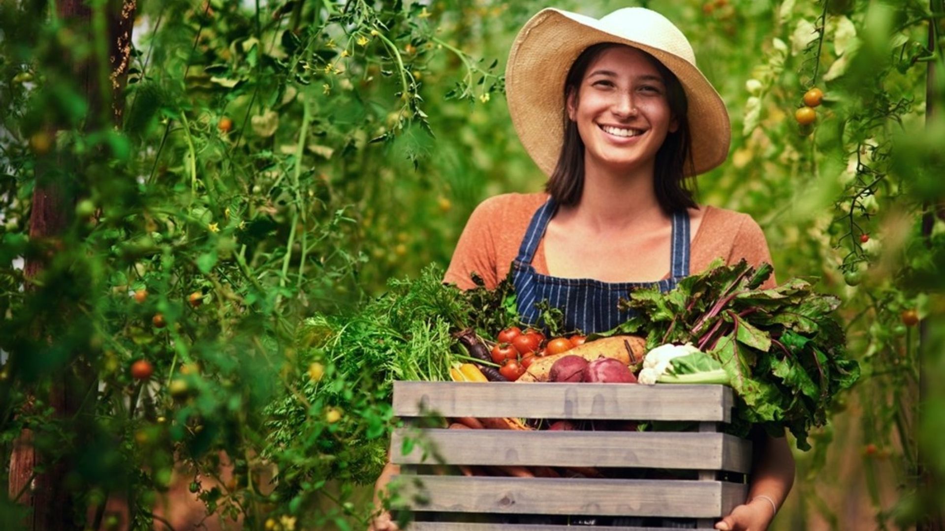 A gardener holding a basket of vegetables