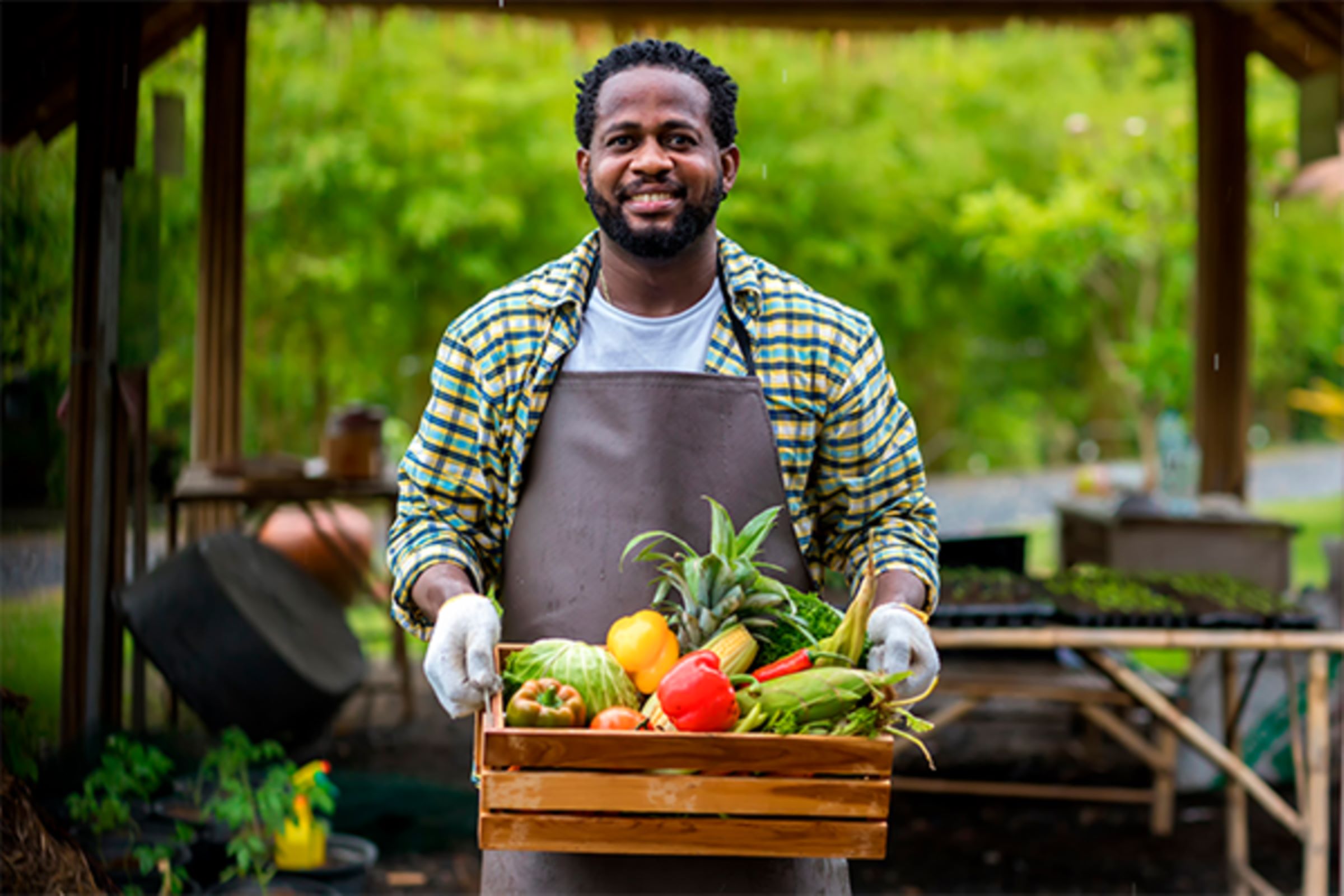 Image of a fruit and vegetable producer carrying a box of produce