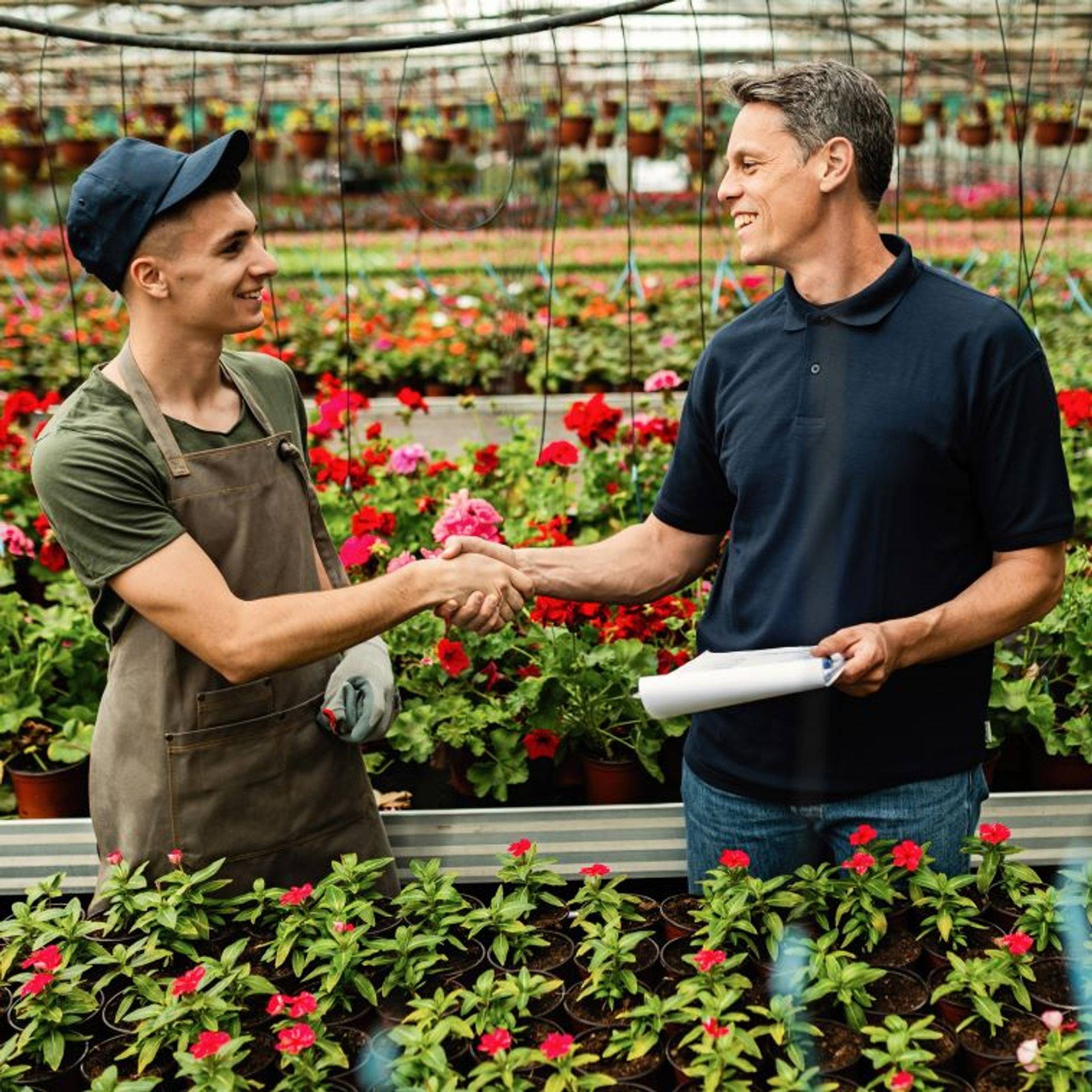 Image of a flowers and ornamentals trader visiting a floriculture farm