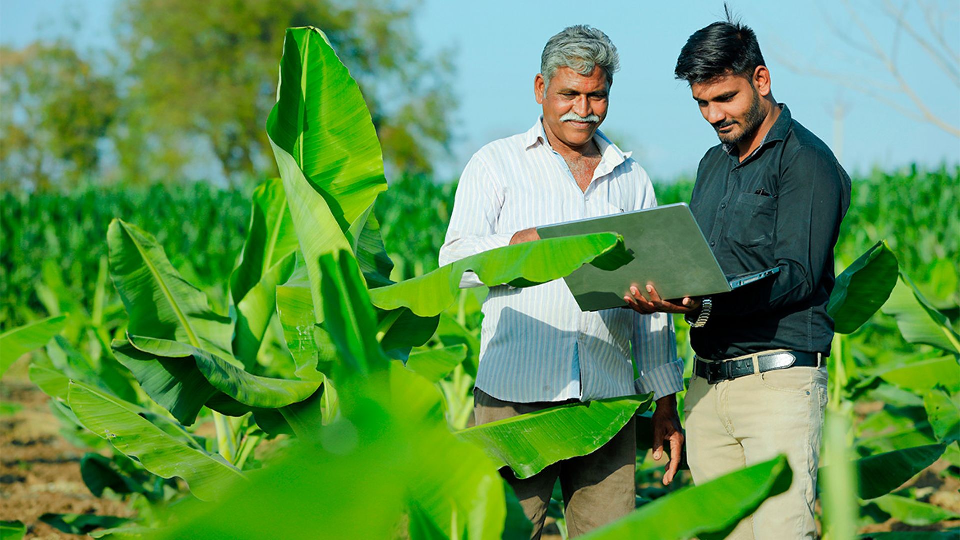 Image of two certification body auditors conducting an assessment on a farm