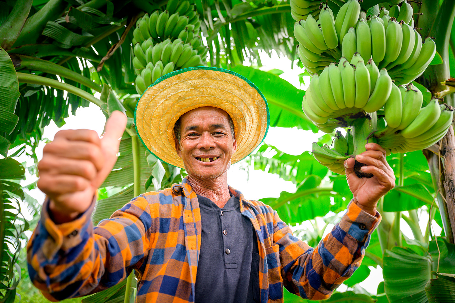 Image of a banana producer displaying produce
