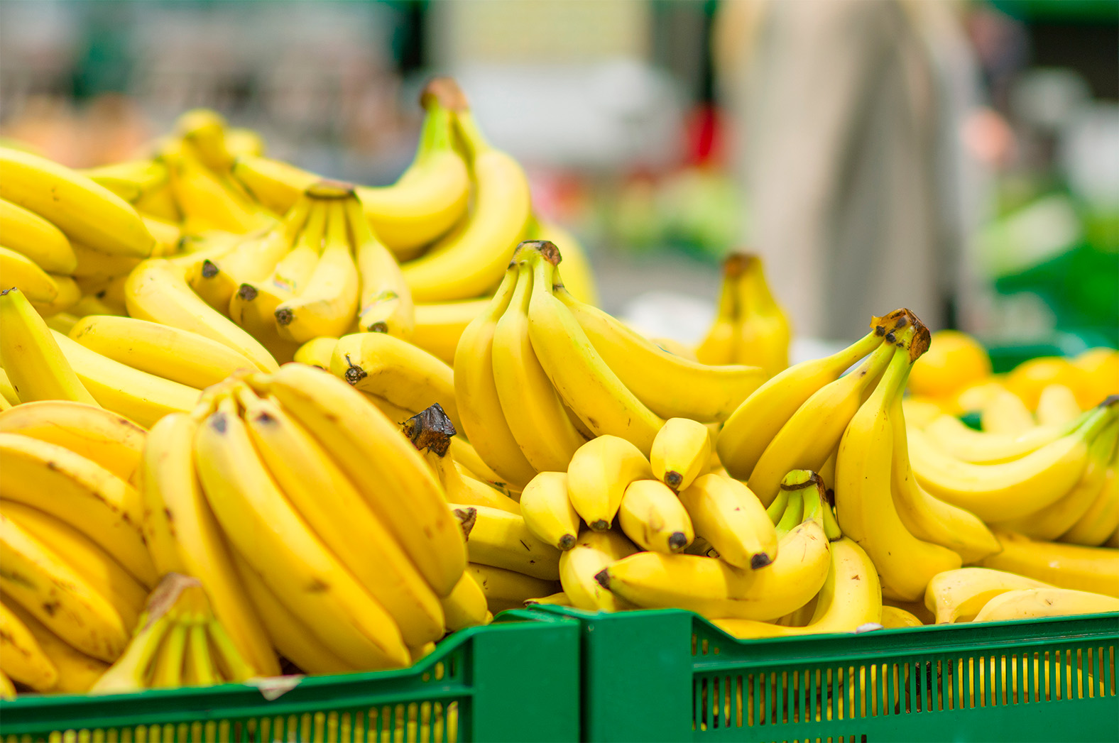 Image of bananas in a retail store