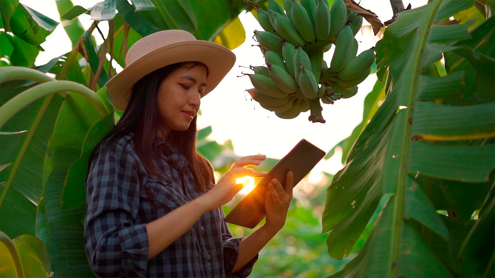 Image of a certification body auditor conducting a farm assessment