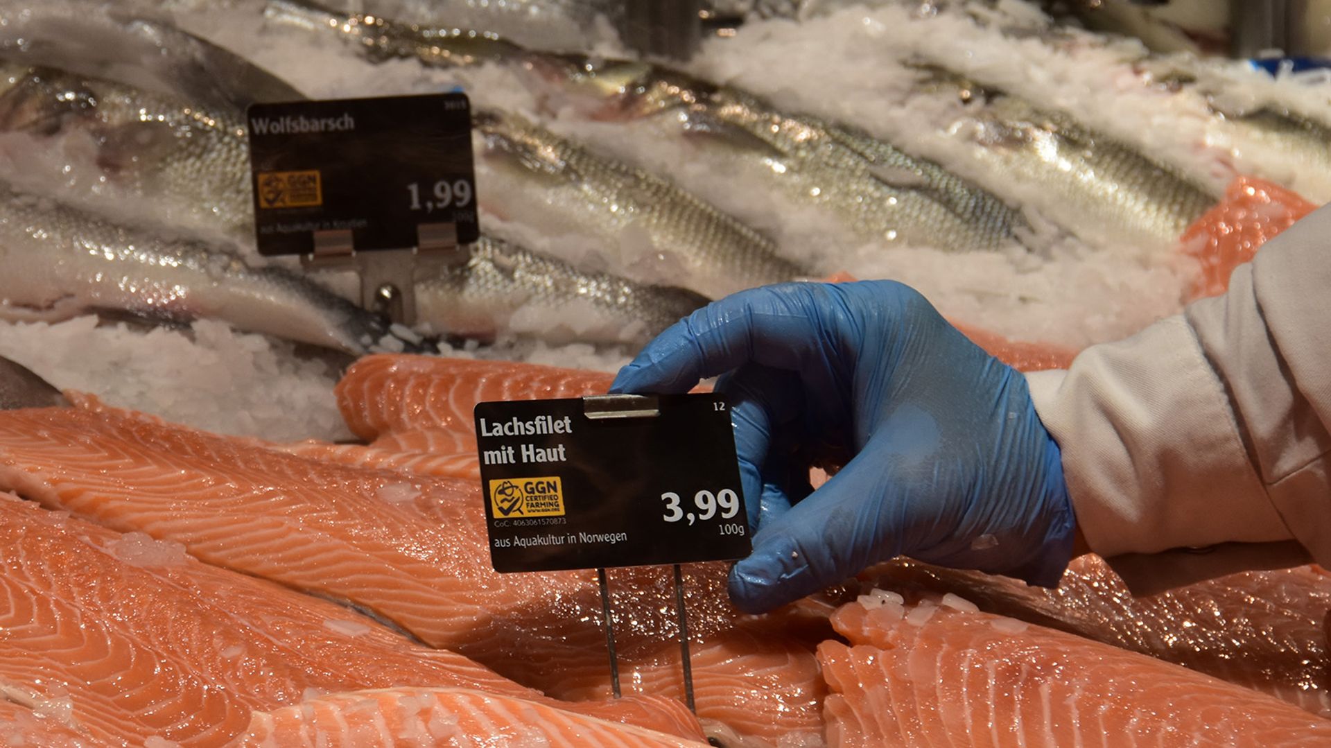 Image of salmon with the GGN label at a retailer‘s fresh fish counter