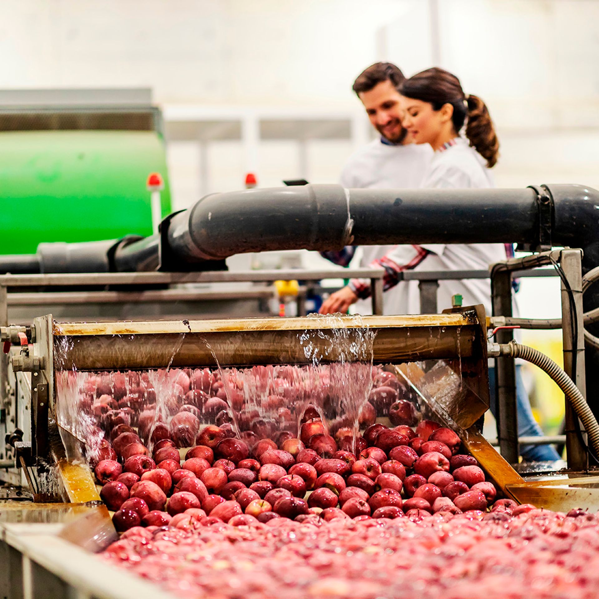 Image of two employees washing fruit before labeling in a processing facility