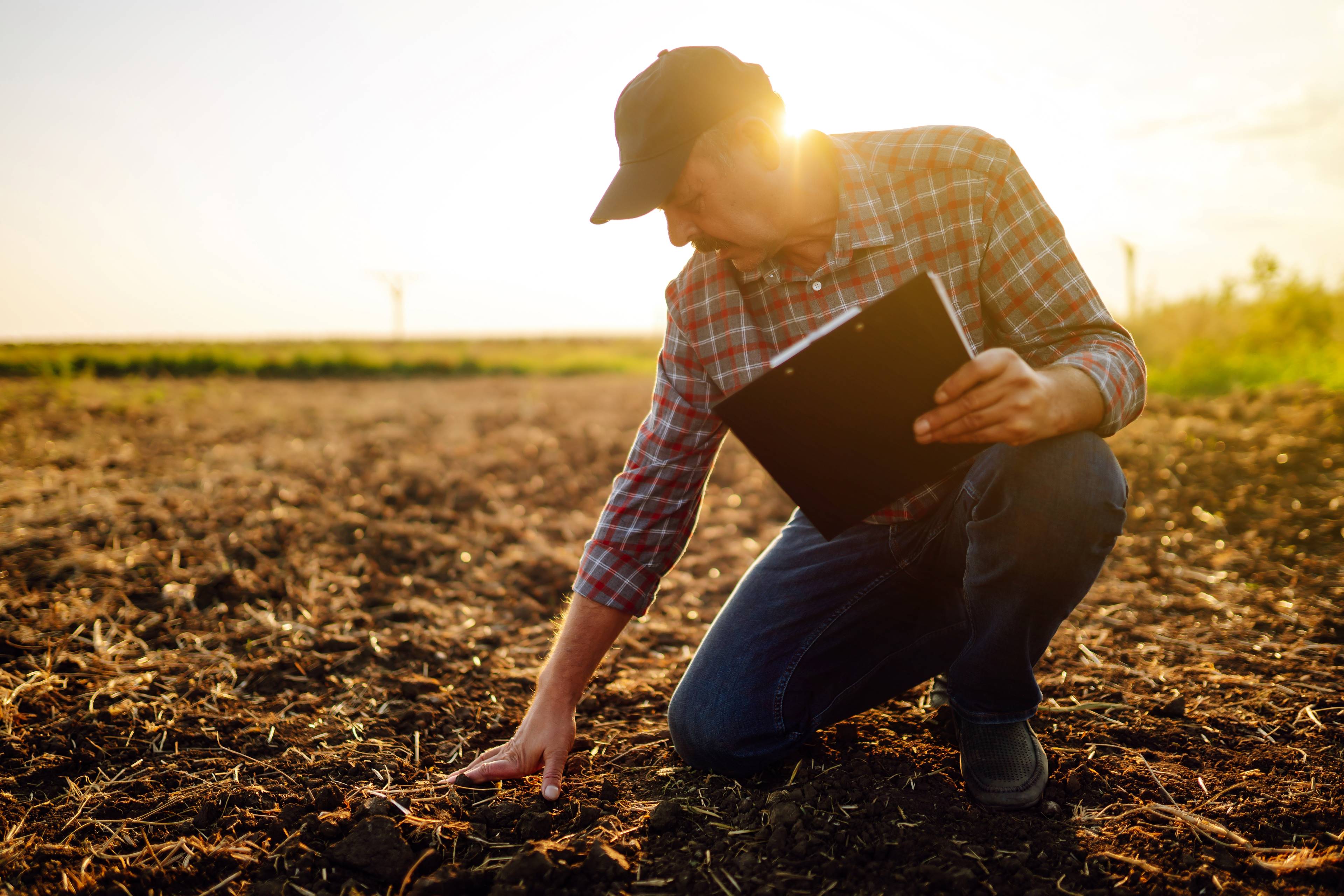Image of a verification body assessor examining soil quality