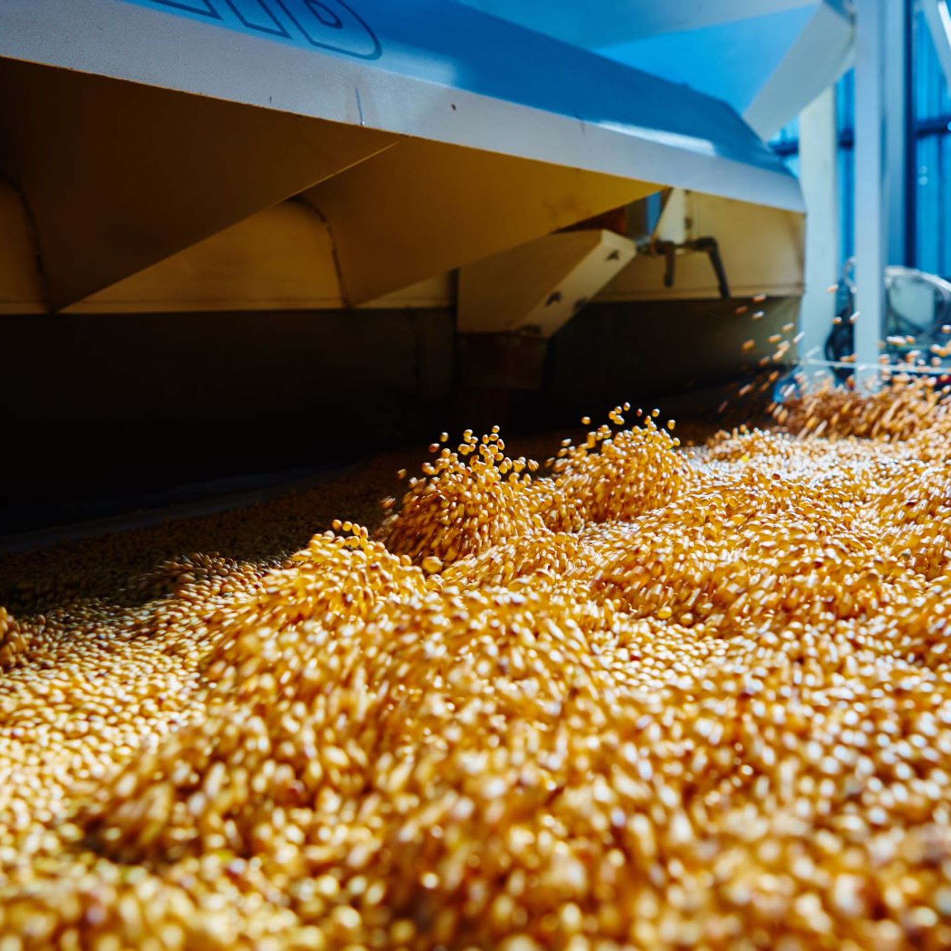 Image of a compound feed manufacturing plant processing soybeans