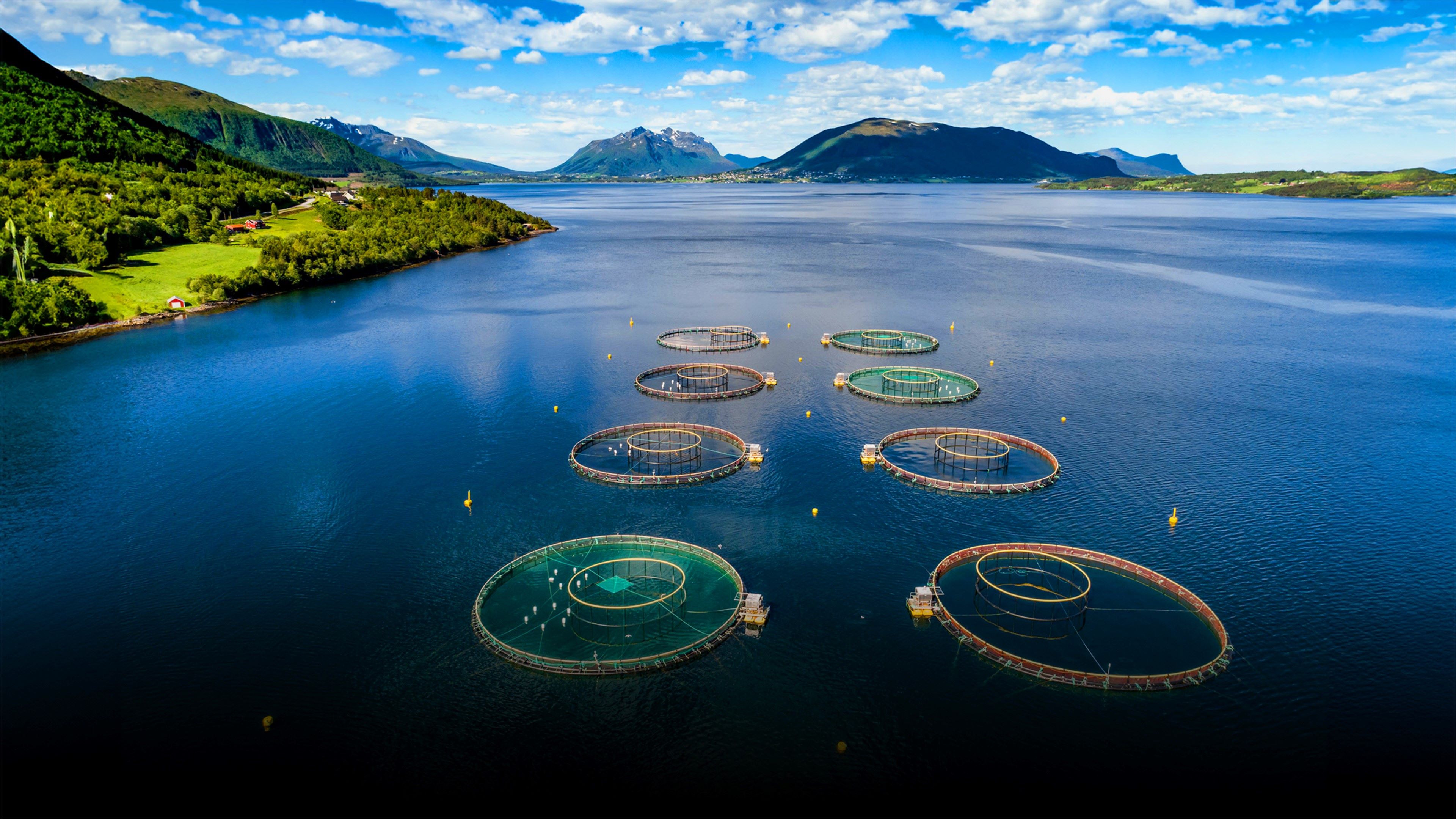 Image of a Norwegian aquaculture farm from above