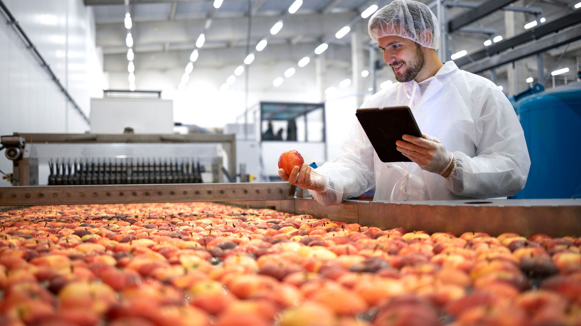 Image of a supply chain processor washing and sorting apples
