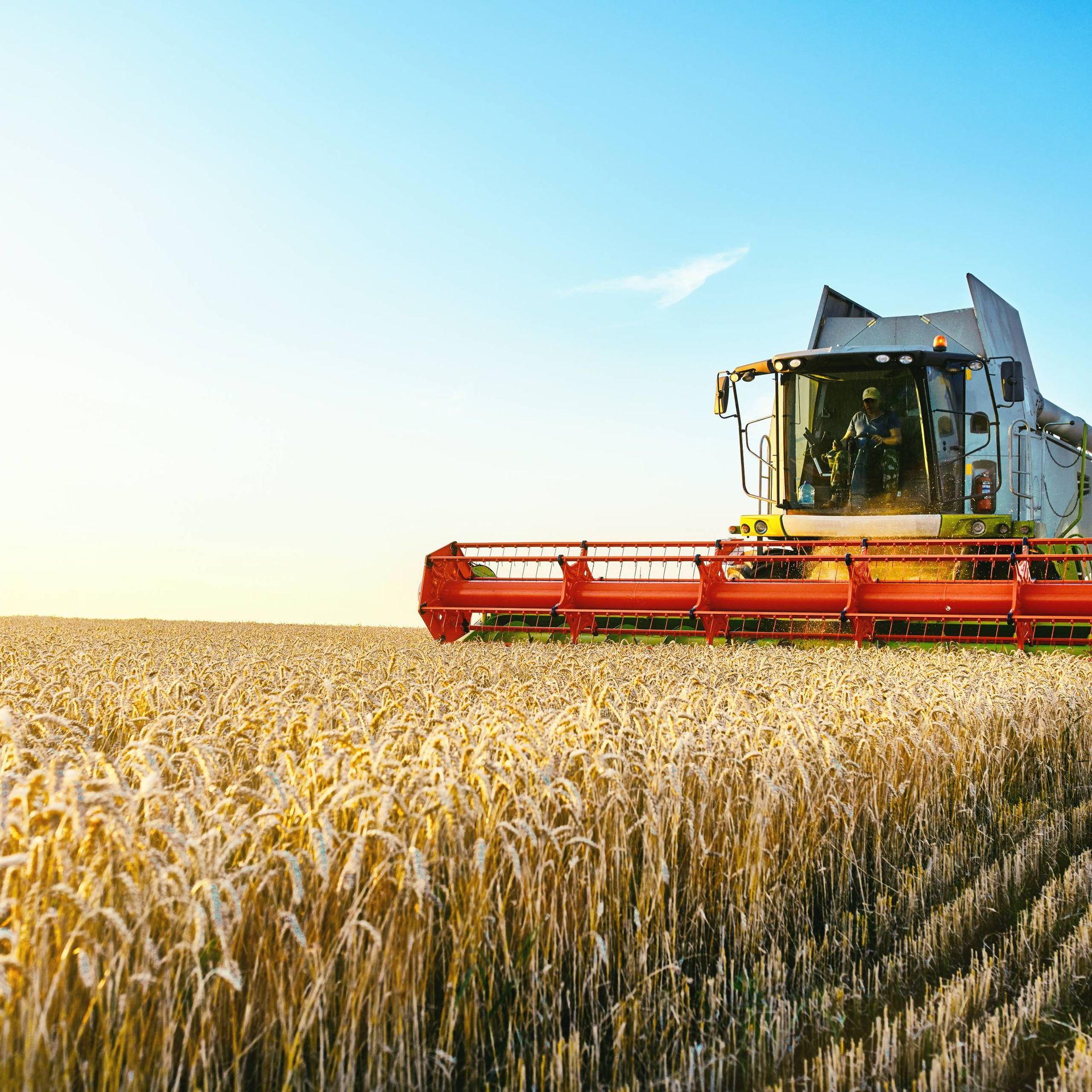 Image of a combine harvester working in a field of wheat
