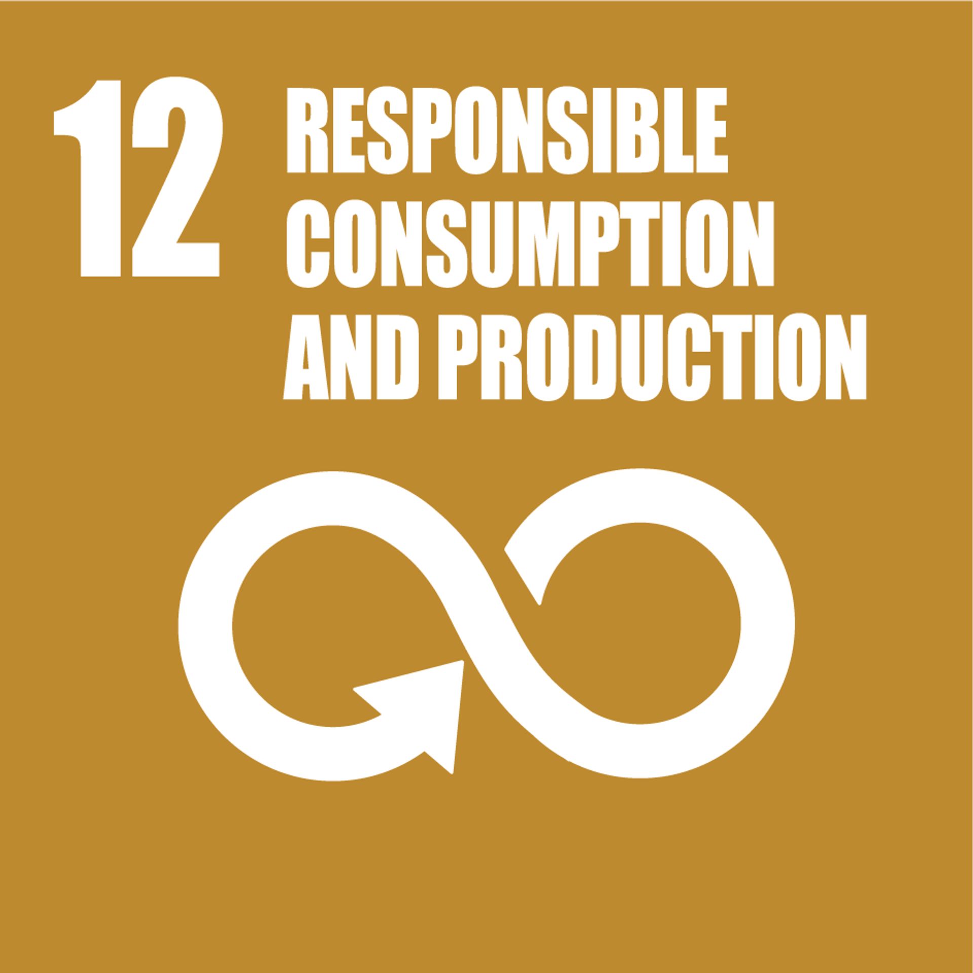 Sustainable Development Goal 12