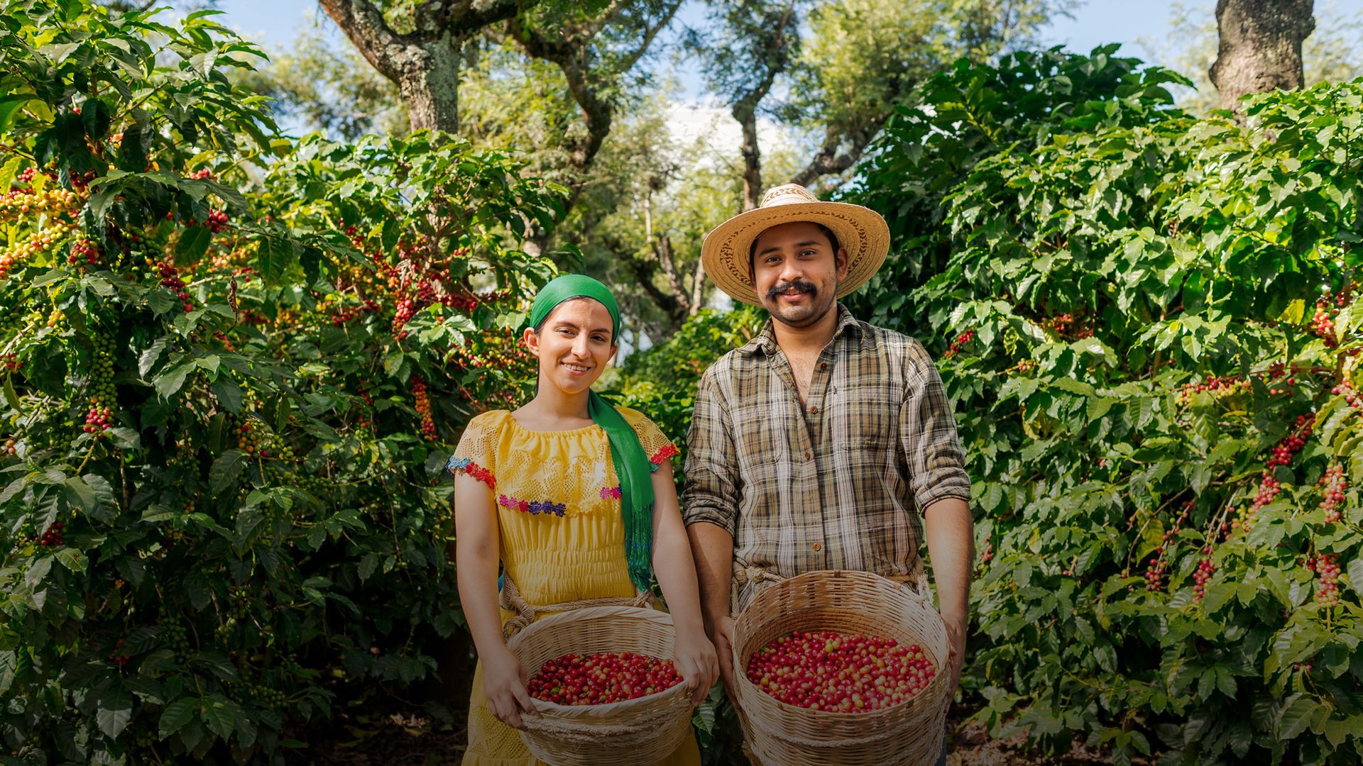 Image of two farm workers holding baskets of harvested fruit