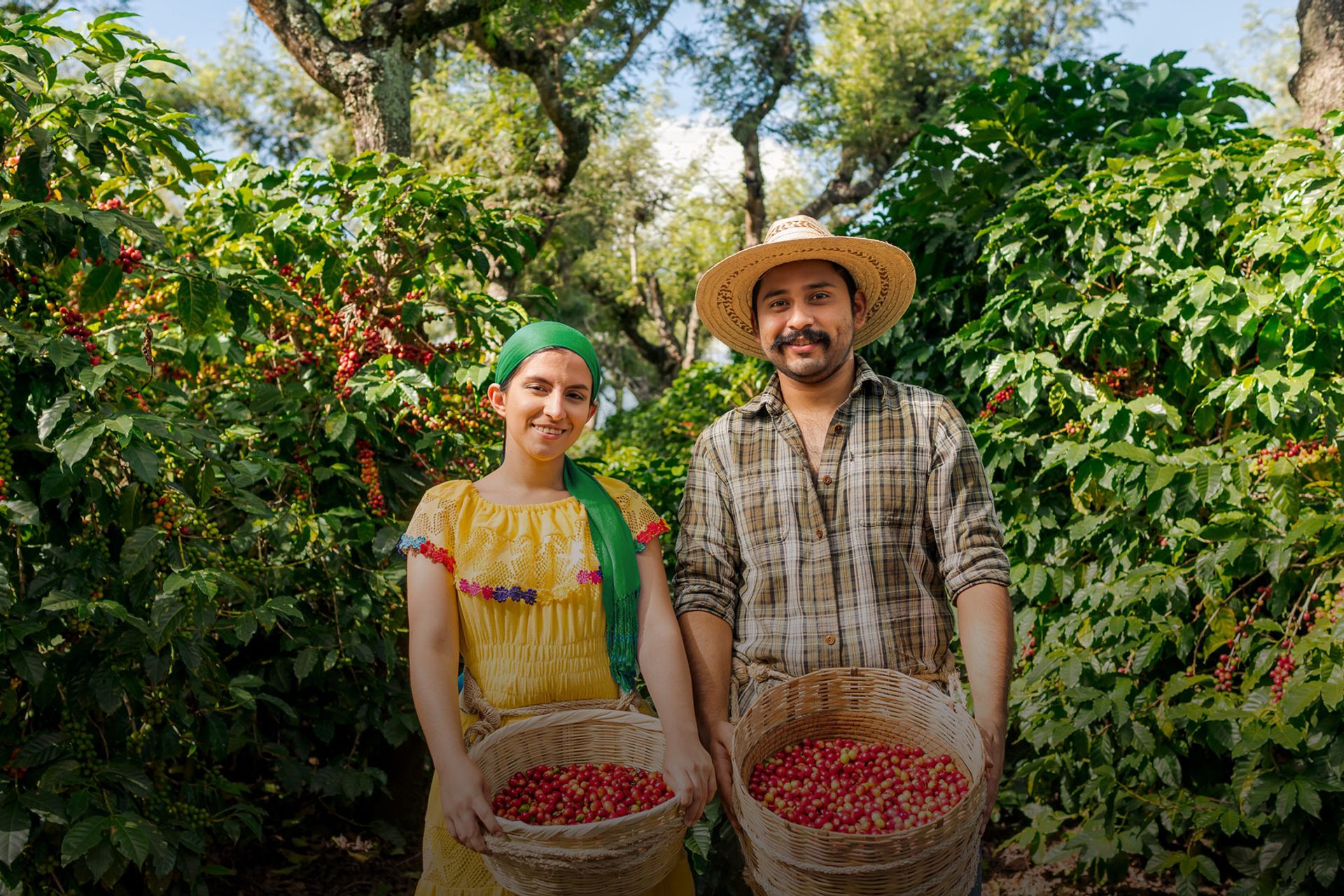 Image of two farm workers holding baskets of harvested fruit