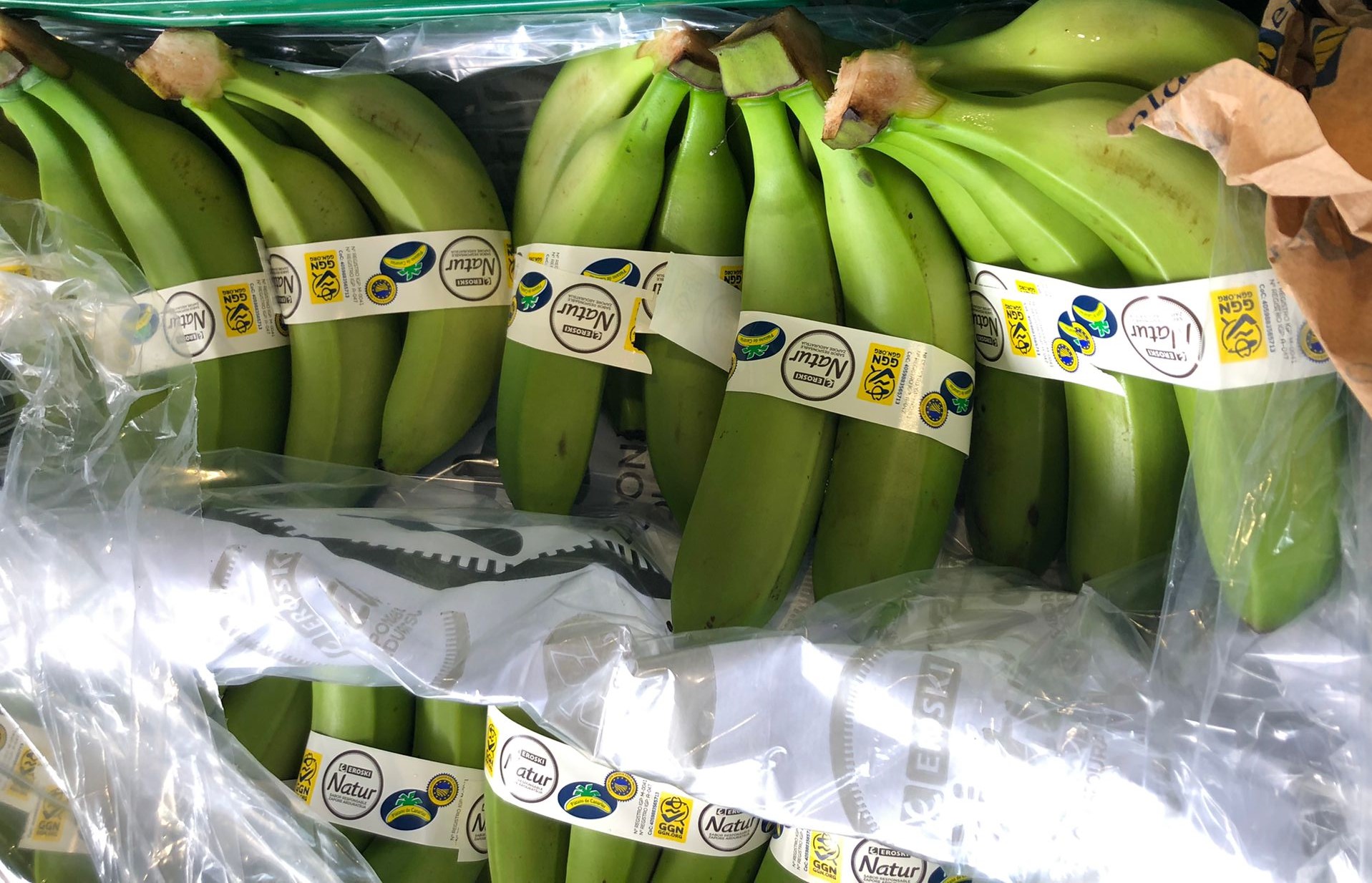 Photo of bananas in a supermarket featuring the GGN label.