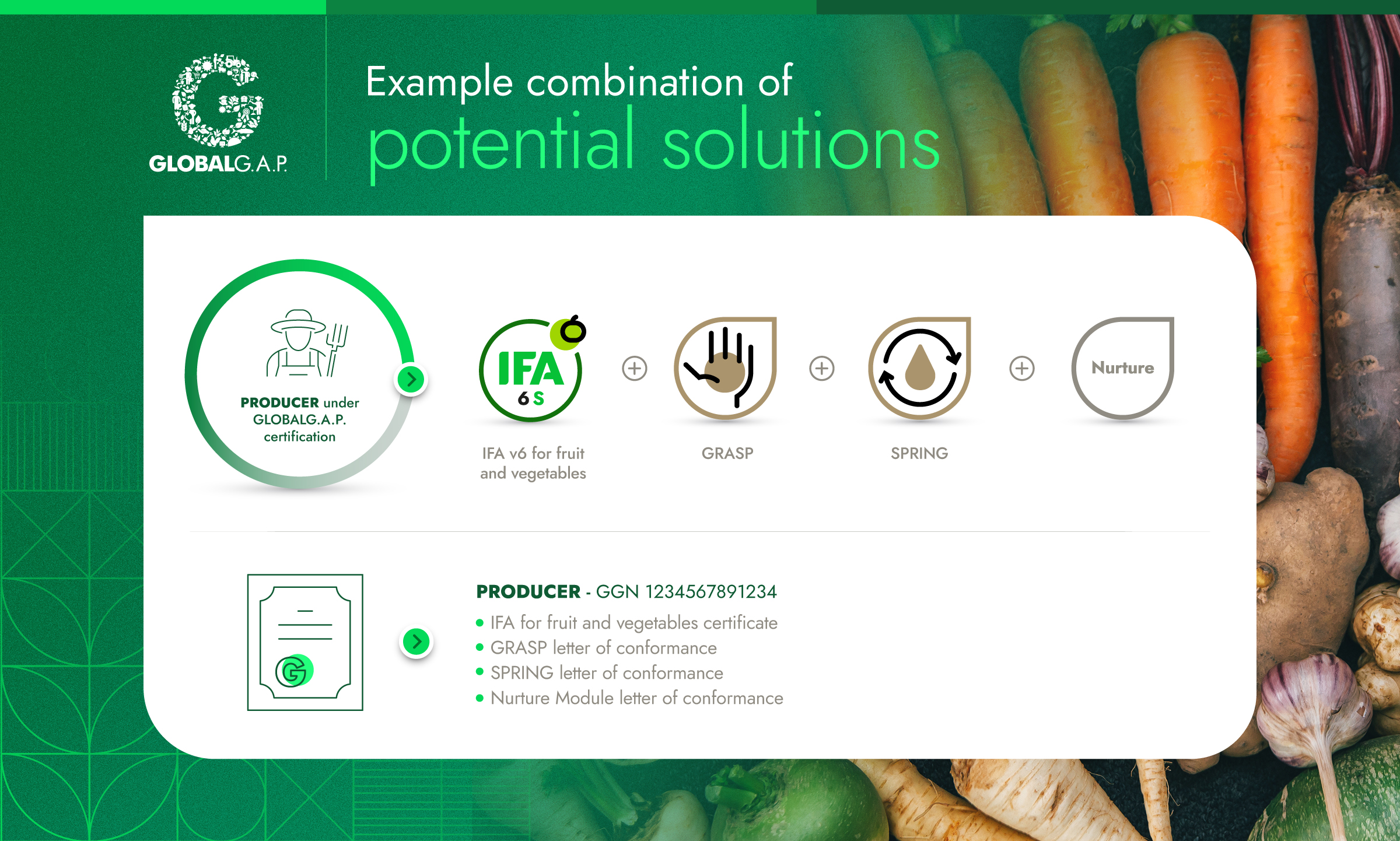 Graphic showing example combination of potential solutions for a producer, including IFA for fruit and vegetables, GRASP, SPRING, and NURTURE.