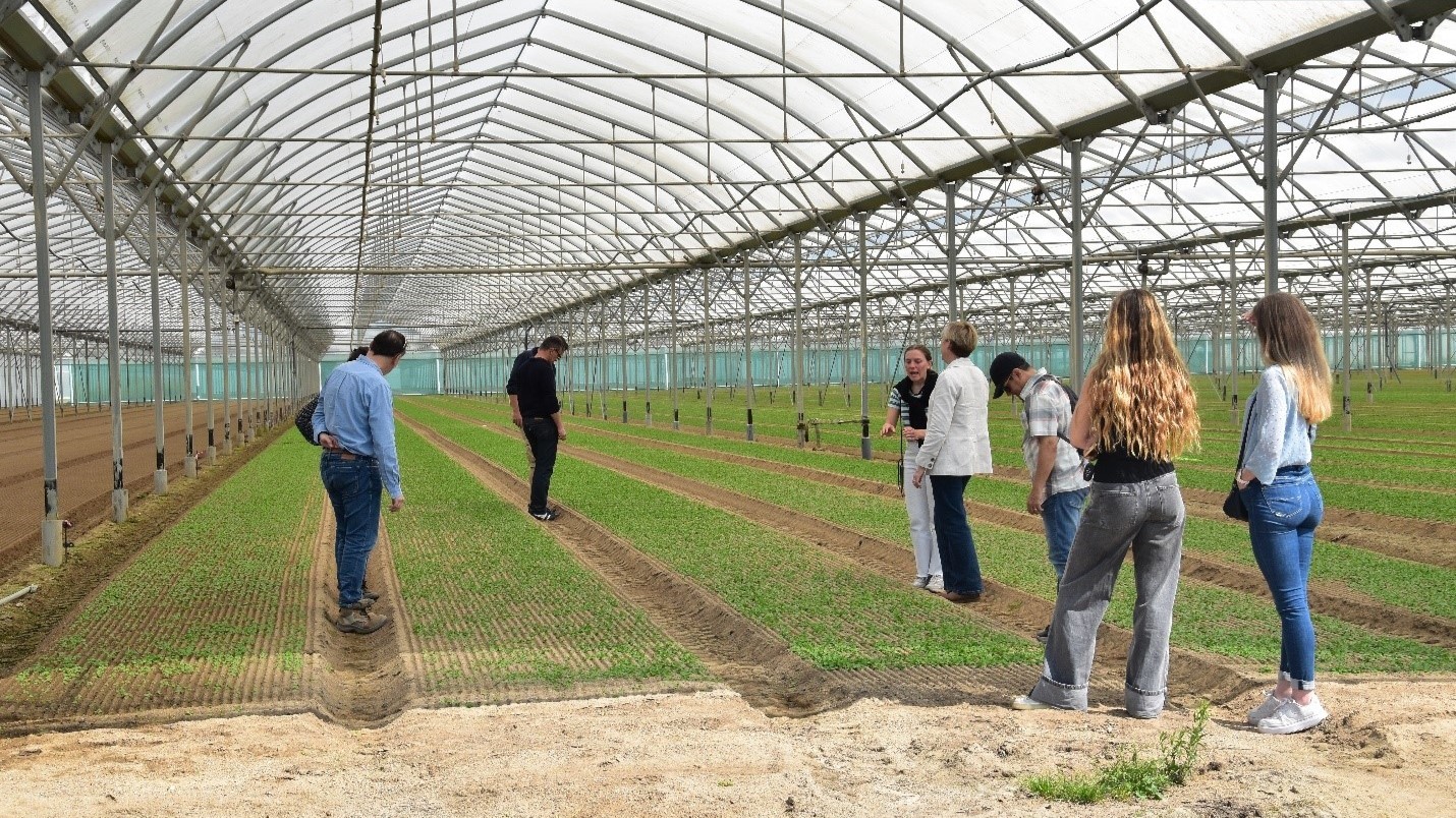 Farm visit to a crops greenhouse with the GLOBALG.A.P. NTWG France in Nantes, May 2025.