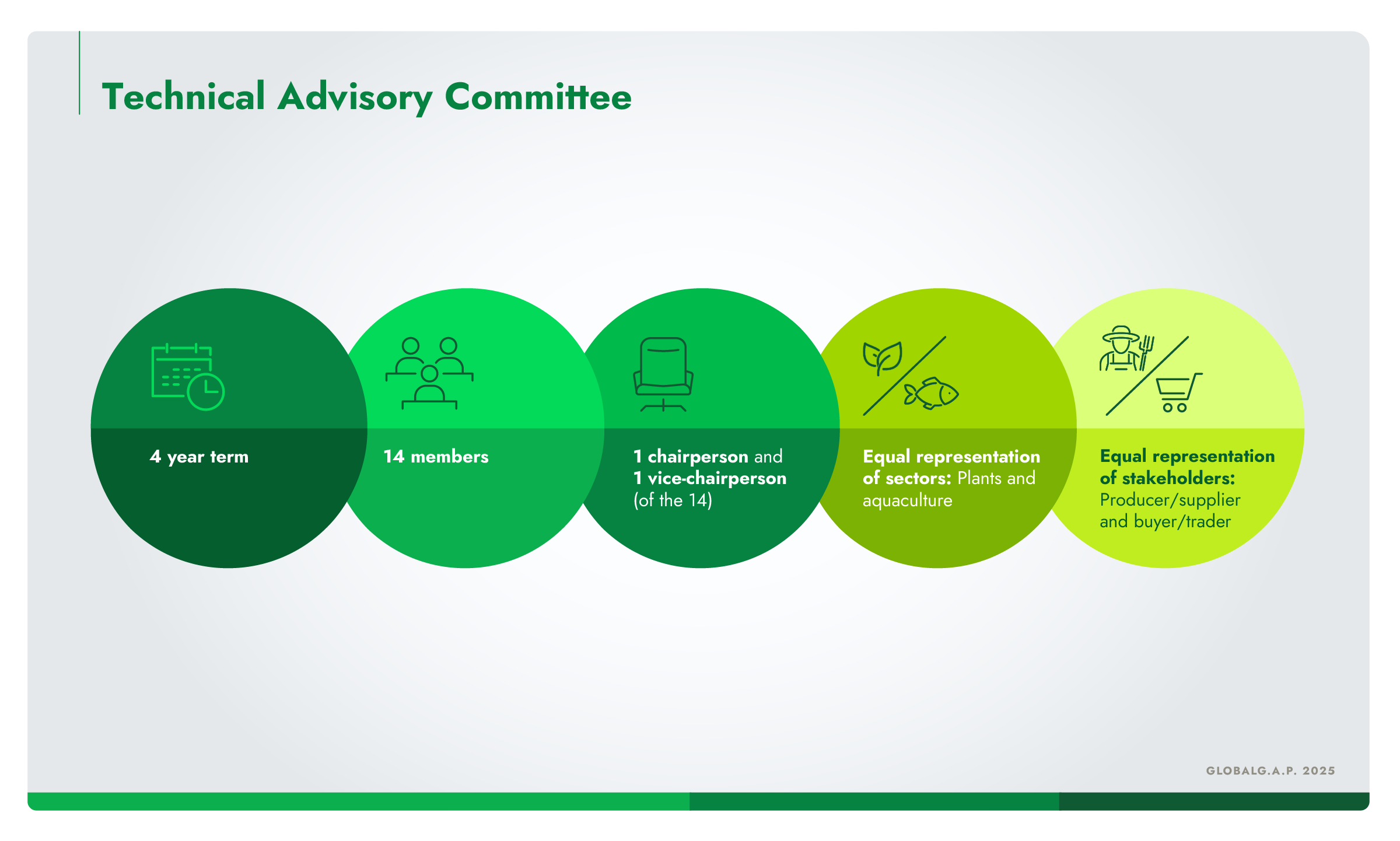 Infographic showing the structure and composition of the GLOBALG.A.P. Technical Advisory Committee