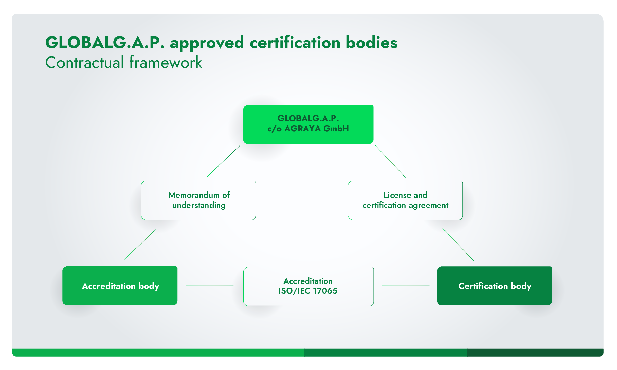 Infographic showing the relationships between GLOBALG.A.P., GLOBALG.A.P. approved certification bodies, and accreditation bodies.