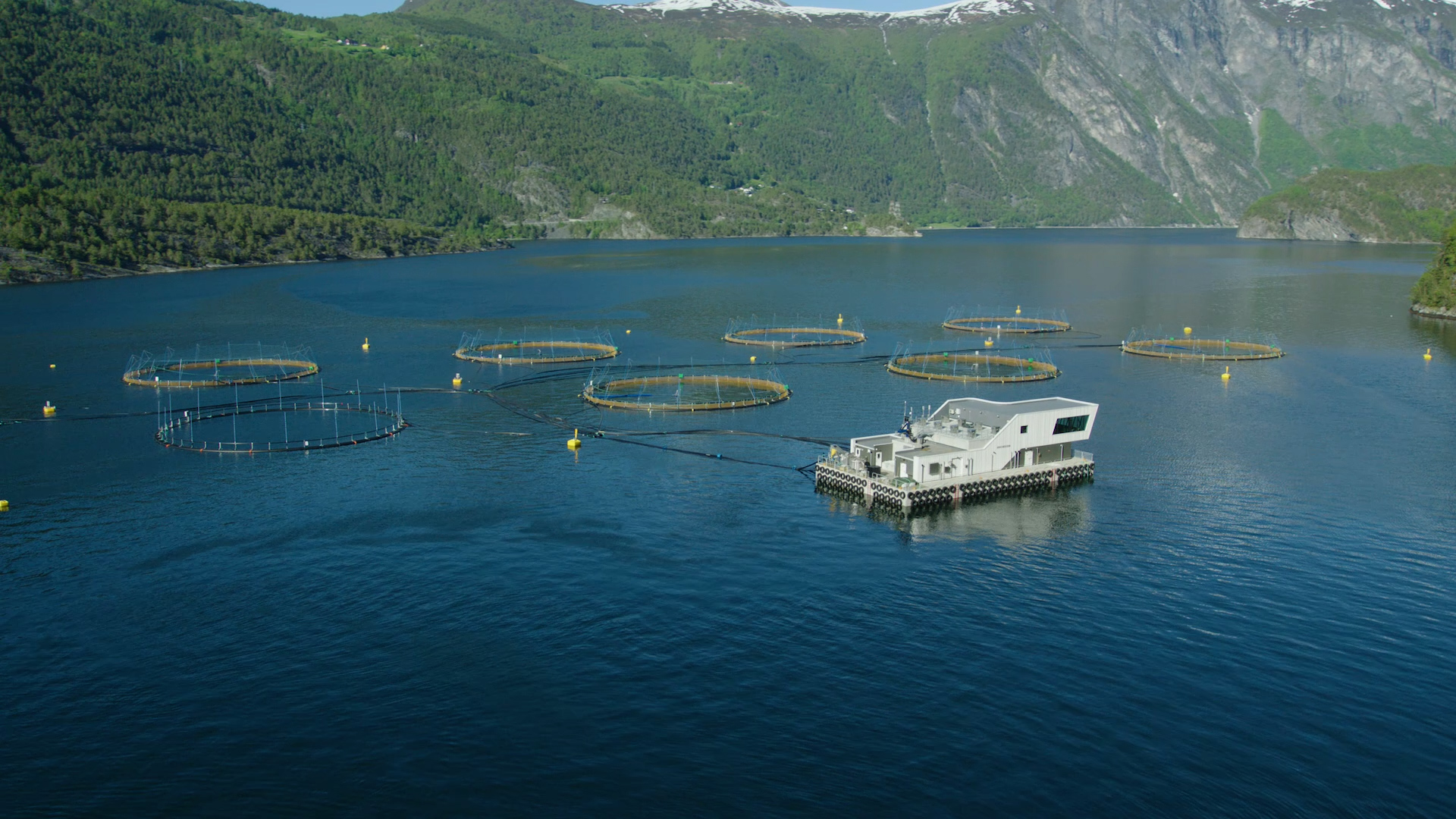 A view of Hofseth International aquaculture operations from the air, Norway 2025